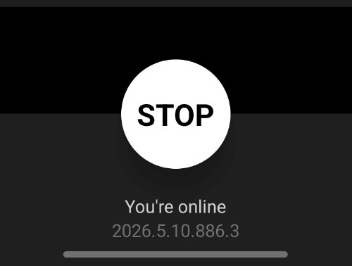 Mystro's white STOP button at the bottom of the Drive screen, with 'You're online' status below.